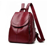 Venture Backpack Maroon - Nurzaib