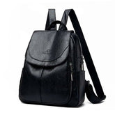 Venture Backpack Black - Nurzaib